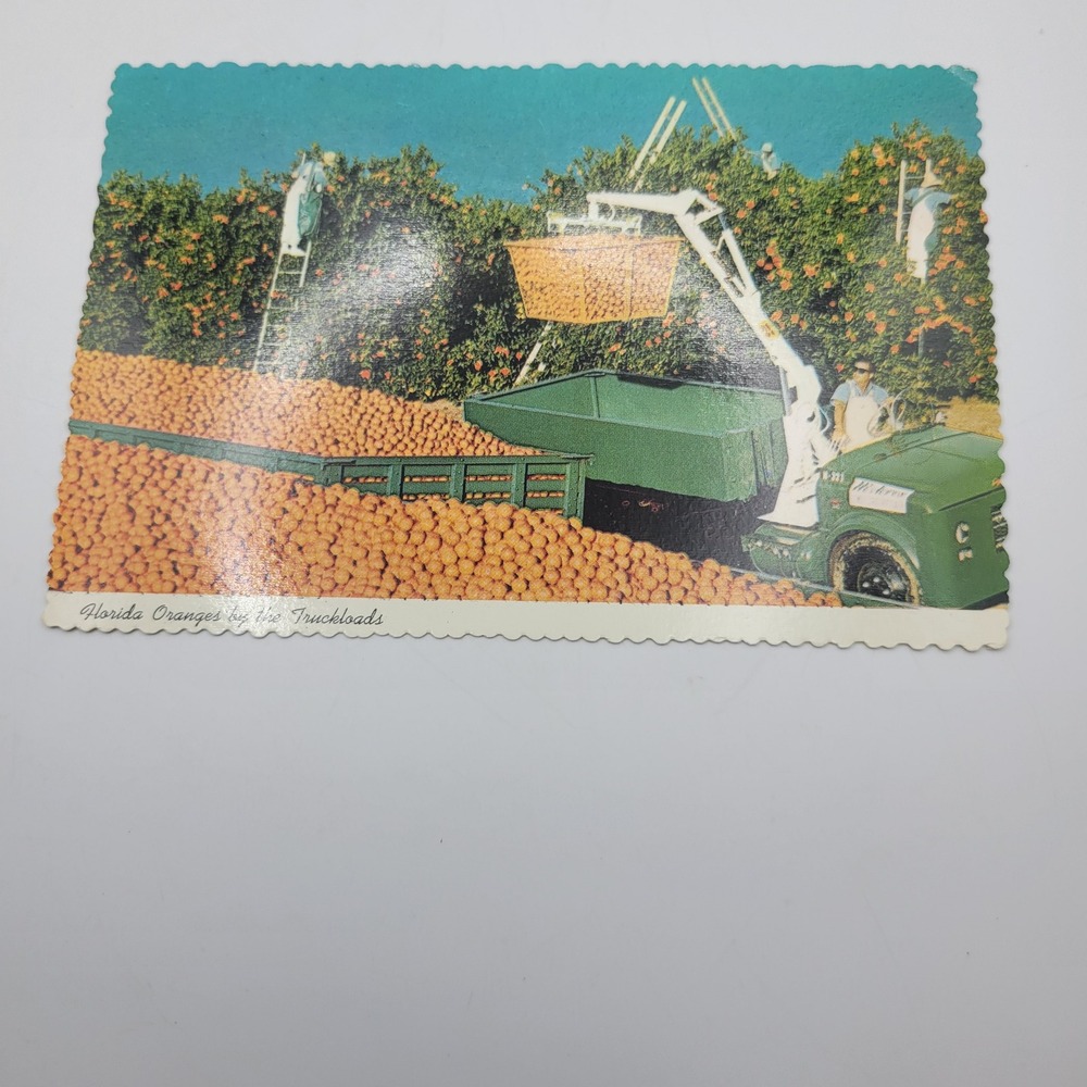 Vintage Florida Oranges by the Truckloads Postcard Curteichcolor Chrome CFI.19